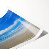 Extra large rolled print of line art flowers in black and white, ideal for large living room wall art.