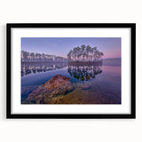 Abstract art print of the Everglades in vibrant colors on a textured canvas, framed in black.