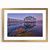 Extra large wall art depicting abstract Everglades scenery in textured greens and blues, framed in gold.