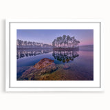 Abstract art print of Everglades scenery in muted green and blue tones, framed in white, suitable for dining room decor.