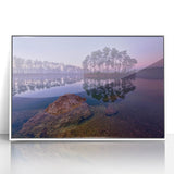 Acrylic print of the Everglades with lush greenery on a white frame, suitable for modern art wall decor in a nursery.