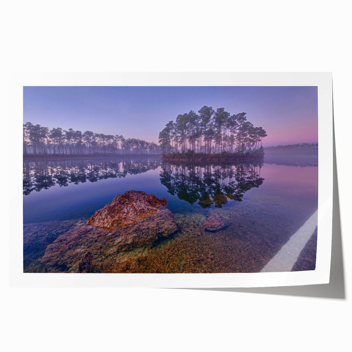 Everglades scenery on a rolled canvas print featuring lush greenery and water, suitable for dining room or bathroom wall art.