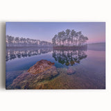 Black and white photograph of Everglades scenery on large stretched canvas, suitable for kitchen wall art.