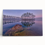 Black and white stretched canvas of the Everglades scenery, suited for kitchen wall art or bedroom ambiance.