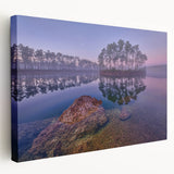 Everglades landscape on large stretched canvas with lush greenery and water, ideal for kitchen wall art.