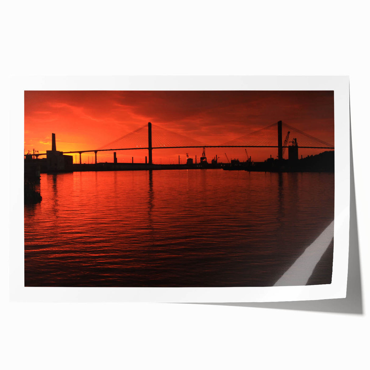 Extra large rolled print of Savannah scenery with vibrant floral elements, ideal for dining room wall art.