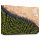 Acrylic print of a large abstract depiction of Iowa scenery, featuring earthy green and brown tones.