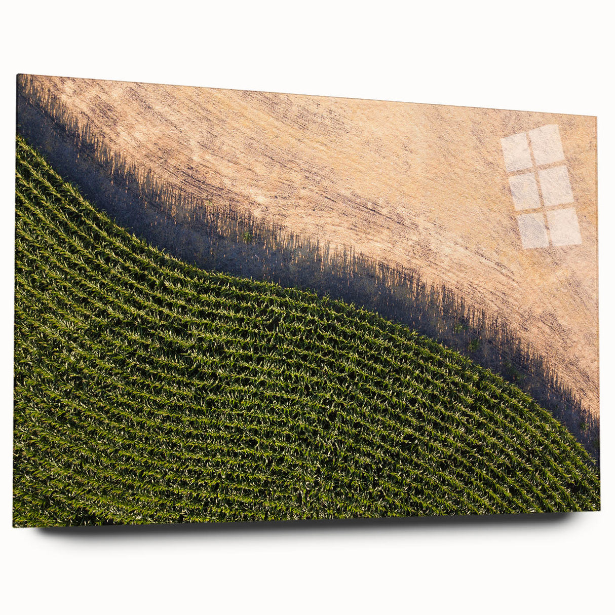 Large abstract wall art depicting a serene Iowa landscape in muted earth tones on acrylic glass.