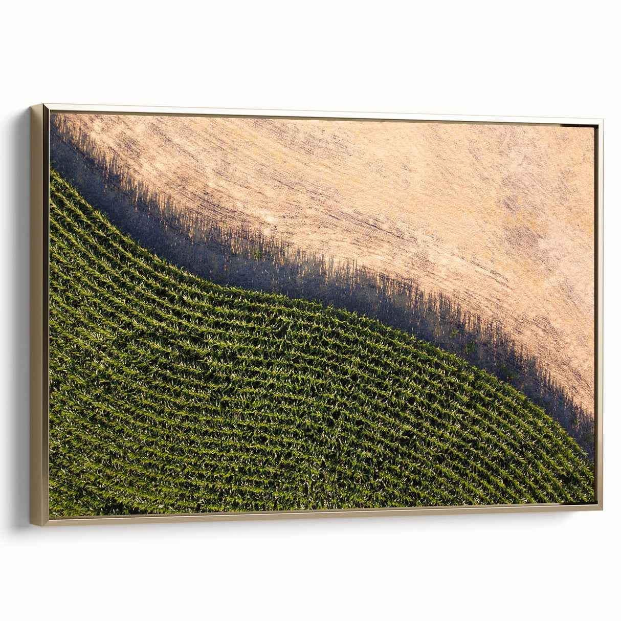 Framed canvas depicting a vintage-style Iowa landscape in muted gold and black tones, suitable for bedroom decor.