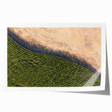 Rolled print depicting Iowa scenery with vibrant green fields and blue skies, ideal for art wall dining room decor.