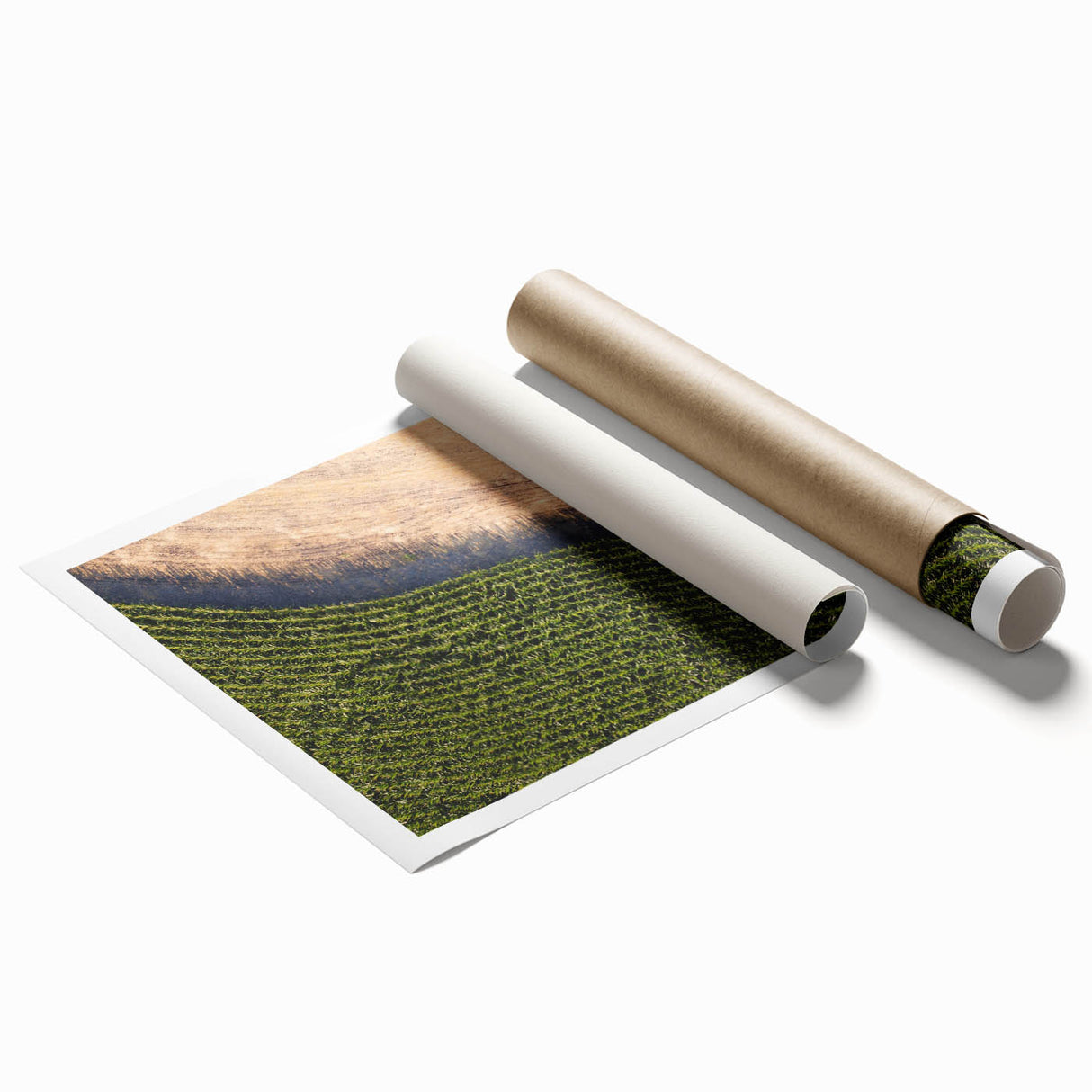Extra large rolled print featuring a floral art design in soft pastel shades, ideal for classy bathroom wall art.