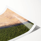 Extra large rolled print of line art flowers in black and white, ideal for large living room wall art.