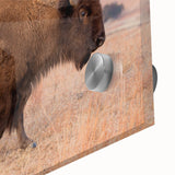 Mid-century modernist large abstract wall art of Kansas scenery in muted earth tones on acrylic glass.