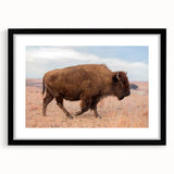 Abstract art print of a vibrant Kansas landscape in textured colors on a large black framed canvas.