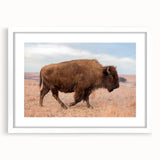 Abstract art print of Kansas scenery in muted earth tones on a framed white mat, ideal for dining room decor.