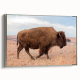 Framed canvas featuring a vintage Kansas landscape with colorful fields under a black sky, ideal for office decor.