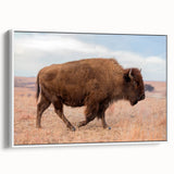 Vintage poster art of Kansas scenery on framed canvas, featuring colorful art in extra large size.