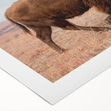 Art deco poster of Kansas scenery in muted earth tones on rolled canvas, suitable for dining room wall art.