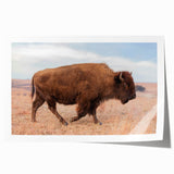 Rolled canvas print of a Kansas landscape with soft floral elements in muted earth tones, ideal for dining room decor.