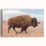 Black and white stretched canvas of a Kansas landscape, ideal for kitchen wall art.