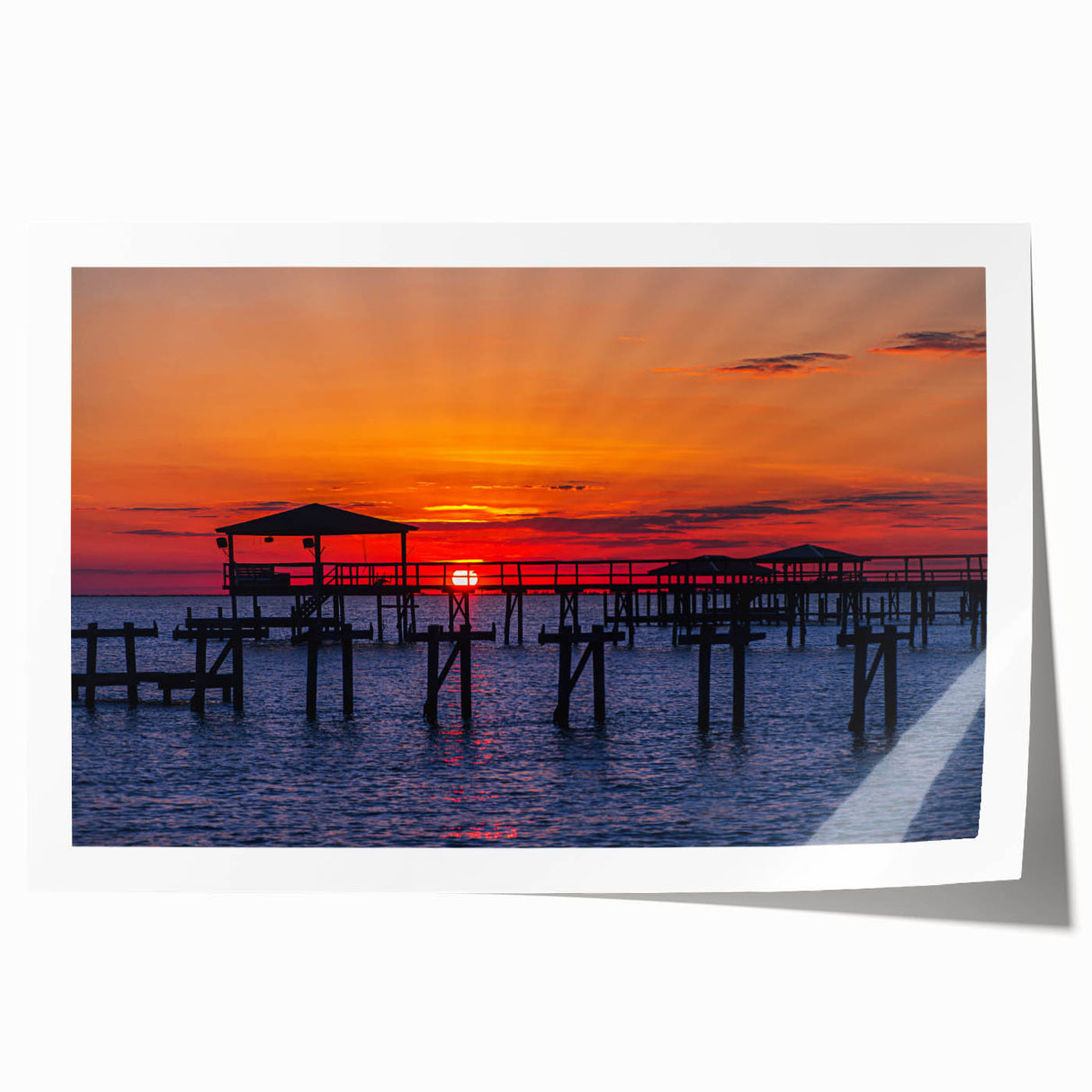 Extra large rolled print of Louisiana scenery with vibrant floral elements, suitable for art wall dining room or bathroom.