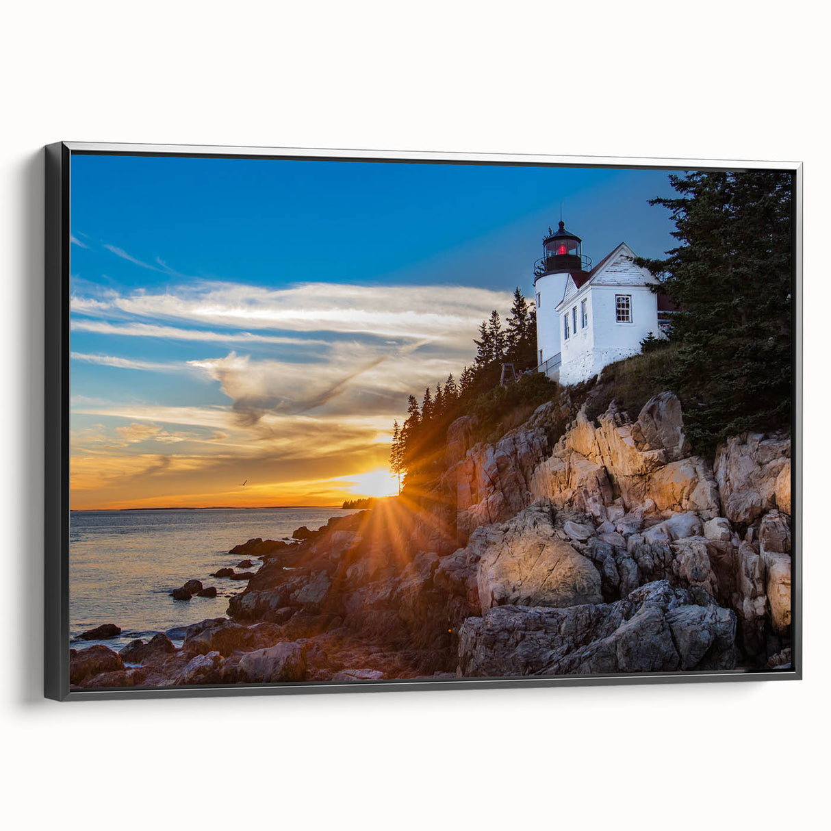 Black and white landscape art of Acadia, Maine on framed canvas, ideal for bedroom wall decor.