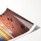 Extra large wall art featuring line art flowers in black and white, rolled print, ideal for large living room wall decor.