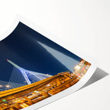 Extra large wall art featuring line art flowers in black on a white background, ideal for large living room decor.