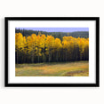 Extra large abstract art print showcasing a textured, colorful depiction of a New Mexico landscape in a black frame.