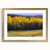 Extra large abstract art print featuring textured scenery of New Mexico in muted earth tones, framed in gold.