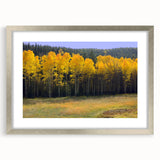 Textured abstract art print depicting New Mexico scenery in earth tones, framed in silver, ideal for bedroom art.
