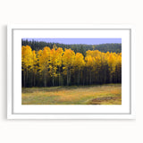 Abstract art print of New Mexico scenery in muted earth tones on a white-framed mat.