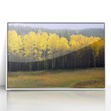 Art deco poster depicting New Mexico scenery in muted earth tones on a white framed acrylic, suitable for nursery wall art.