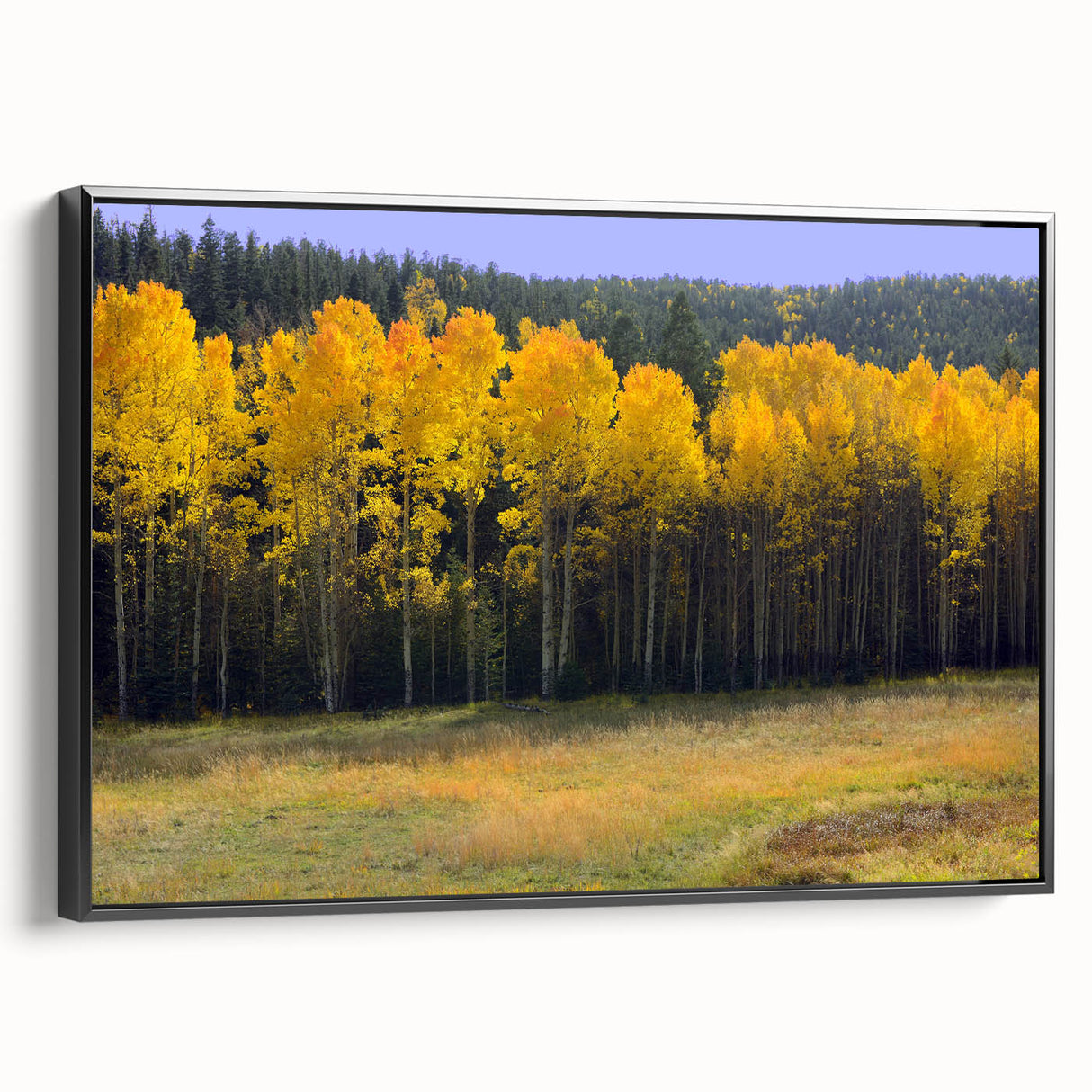 Black and white landscape art painting of New Mexico scenery on framed canvas, suitable for bedroom wall decor.