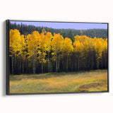 Black and white landscape art painting of New Mexico scenery on framed canvas, suitable for bedroom wall decor.