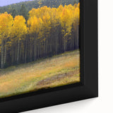 Extra large framed canvas featuring a textured depiction of a New Mexico scenery in black with colorful accents.