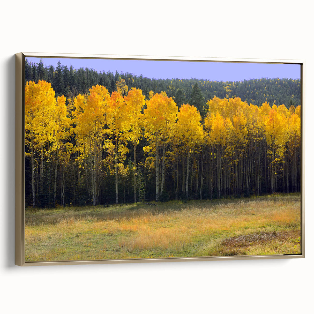 Framed canvas depicting a vintage-style New Mexico landscape in black and gold tones, ideal for bedroom wall art.