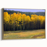 Framed canvas depicting a vintage-style New Mexico landscape in black and gold tones, ideal for bedroom wall art.