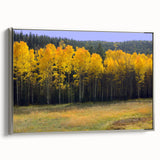 Framed canvas of a New Mexico landscape painting in vibrant colors, ideal for living room decor.