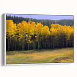 Vintage poster art of New Mexico scenery on a framed canvas, featuring colorful art in extra large size.