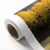 Art Deco poster of New Mexico scenery on rolled canvas, featuring muted earth tones, perfect for nursery wall art.