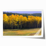 Extra large rolled print of a New Mexico landscape with muted earth tones, ideal for art wall dining room decor.