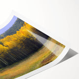 Extra large wall art featuring line art flowers in monochrome, rolled print, suitable for large living room spaces.