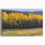Black and white large art of New Mexico scenery on stretched canvas, suitable for kitchen wall art.