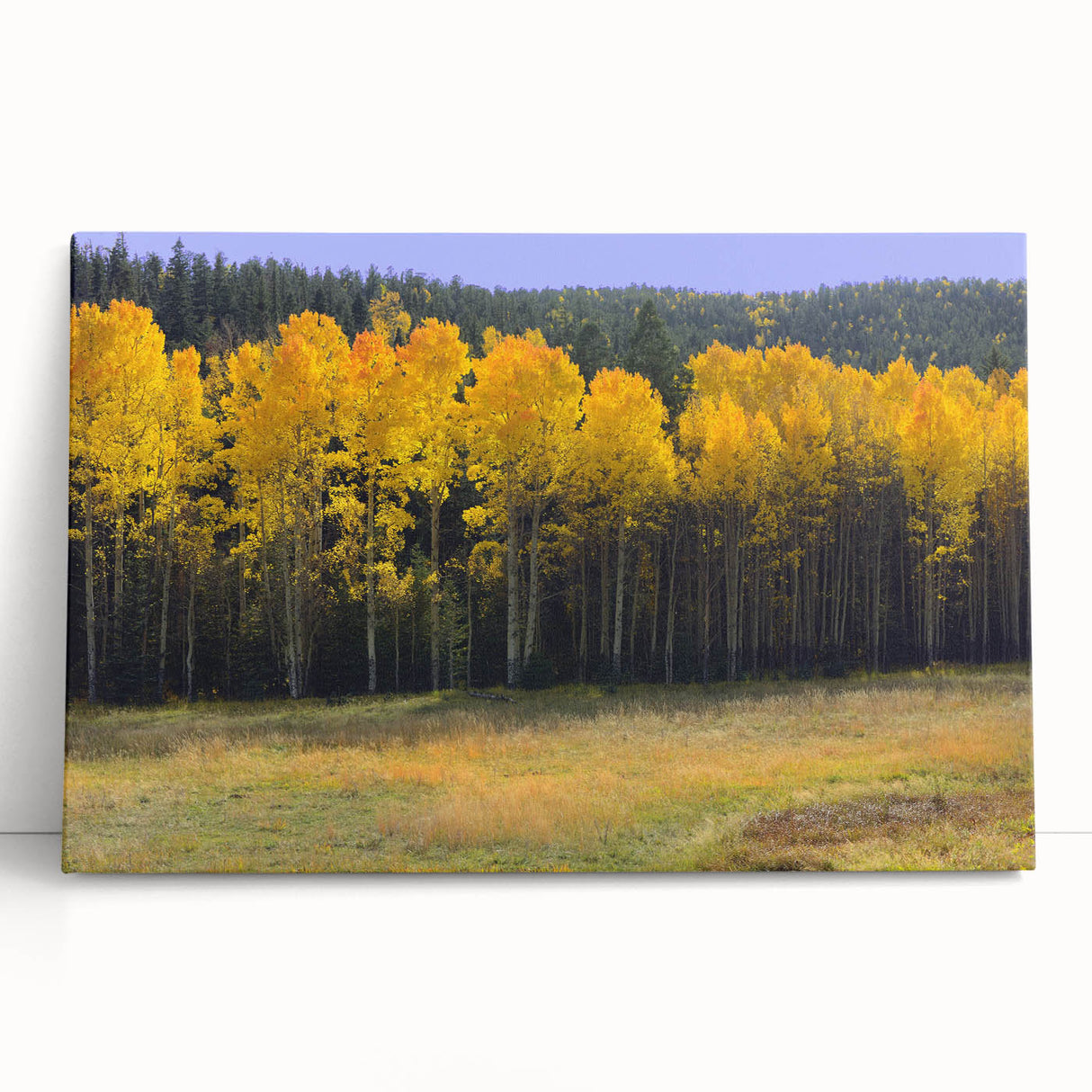 Black and white stretched canvas depicting a serene New Mexico landscape, ideal for kitchen wall art or bedroom ambiance.