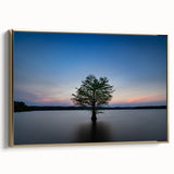 Framed canvas of Durham, North Carolina landscape in muted gold and black tones, suitable as wall art for bedroom.