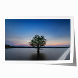 Extra large rolled print of a floral art depicting Durham, North Carolina, in muted green and pink tones.