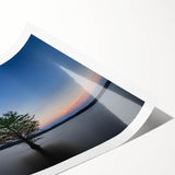 Extra large wall art featuring line art flowers in black and white, printed on rolled canvas.