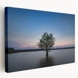 Large stretched canvas depicting a tranquil Durham, North Carolina landscape in soft, natural colors.