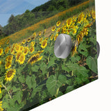 Large abstract wall art of Raleigh skyline in muted gray and blue tones on acrylic glass, ideal for dining room art.